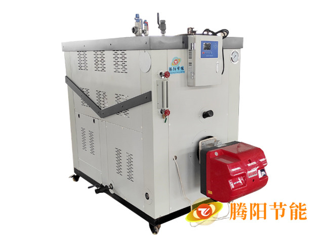 燃?xì)獍l(fā)生器